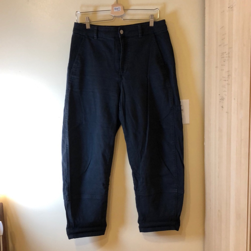 Everlane Barrel Leg Pant